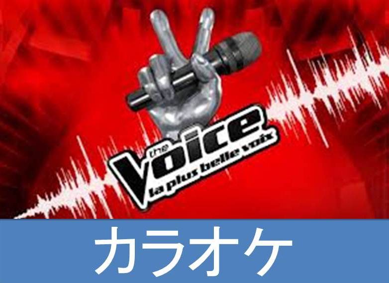 Article : Le Karaok&eacute;, cette autre passion des malgaches